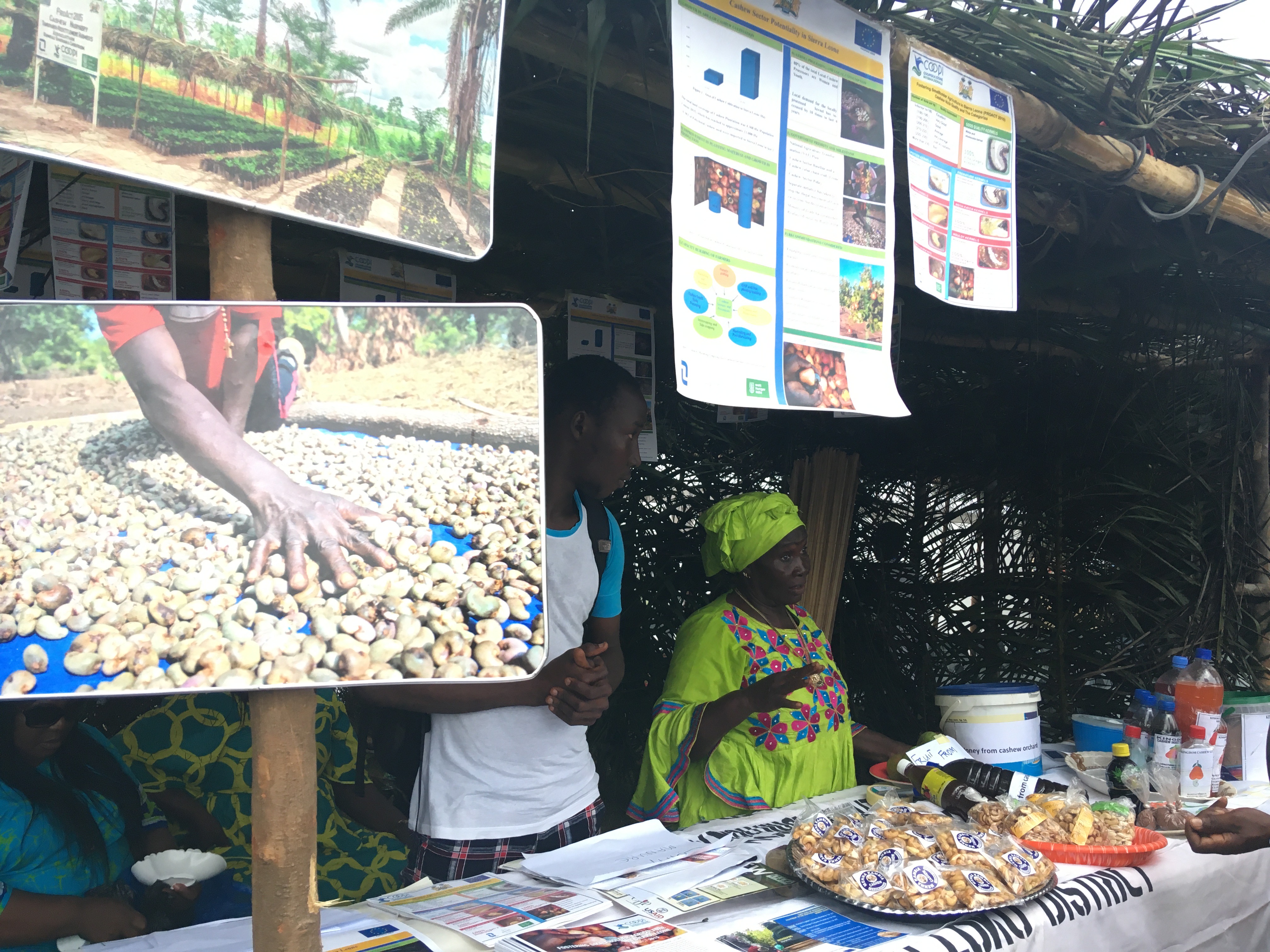 World Food Day. Cashew in Sierra Leone | COOPI