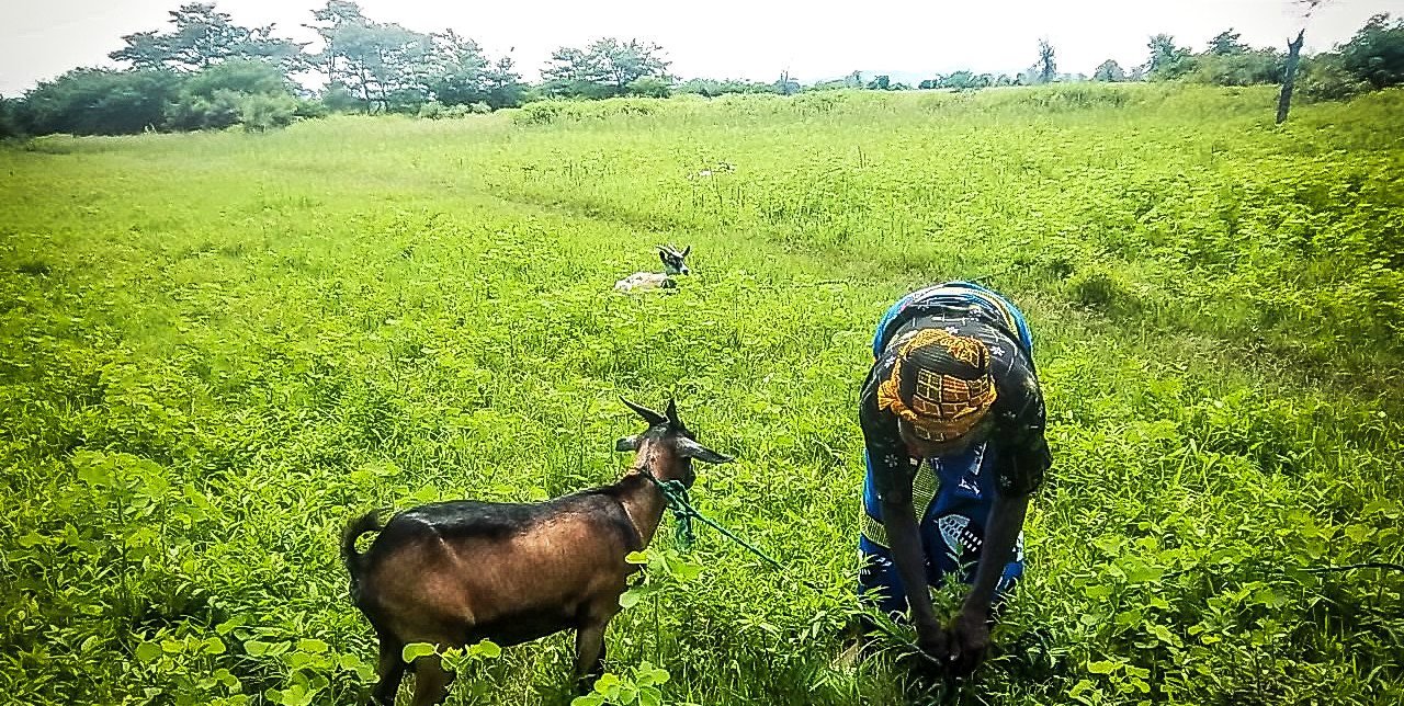 Stove production: earnings in conserving environment