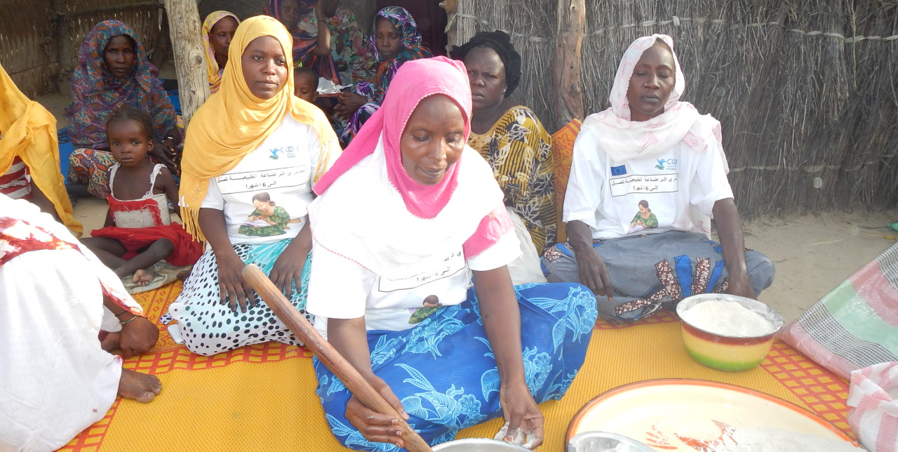 Tchad, le succès de Fanné: éducation nutritionnelle et bonnes pratiques pour les mamans