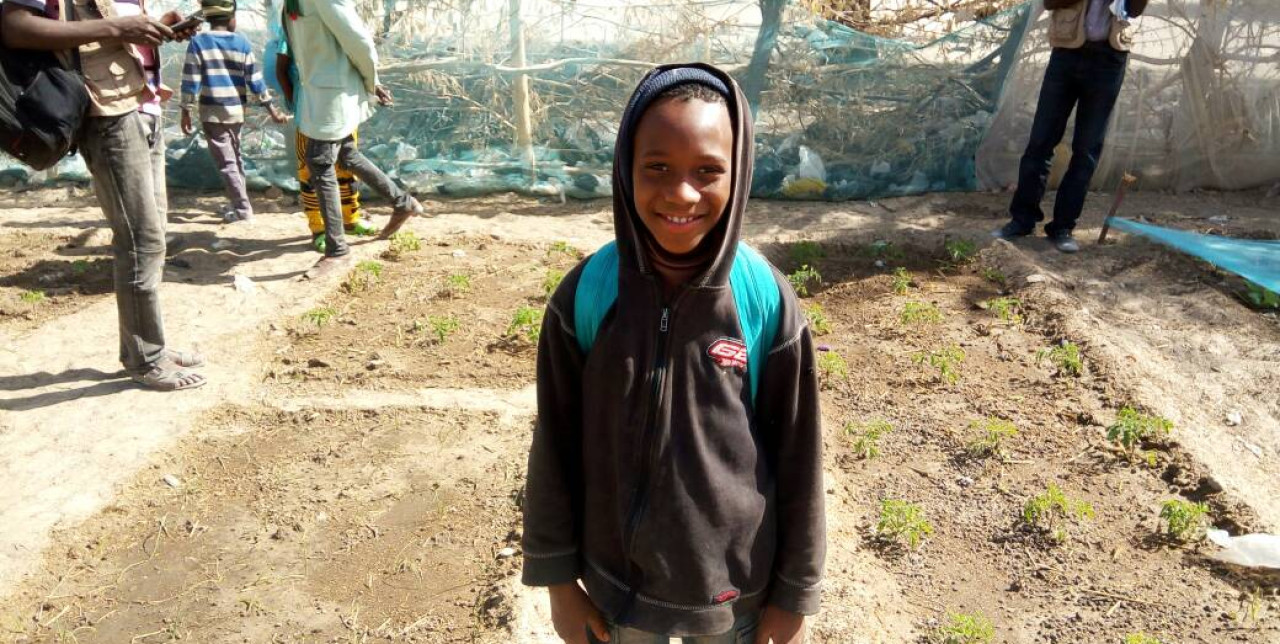 Niger: School vegetable gardens as a branch of learning