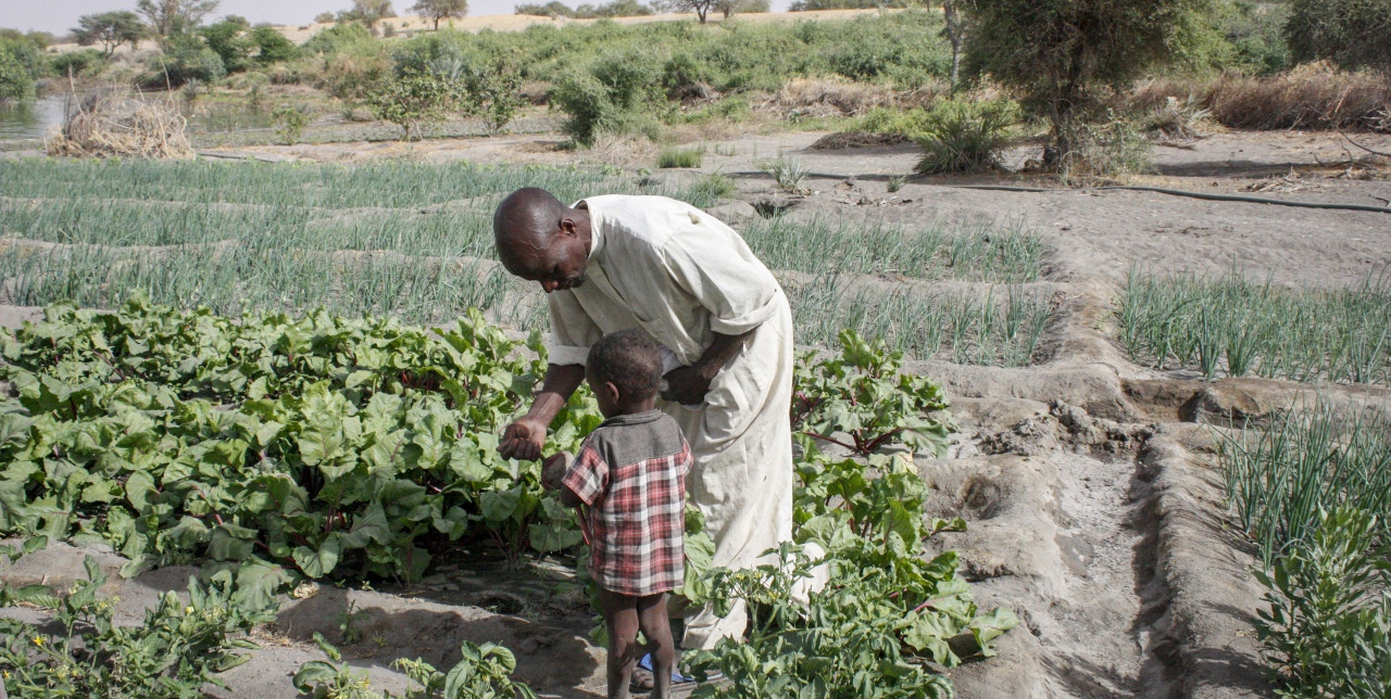 Lake Chad: journey through farmers challenging desertification