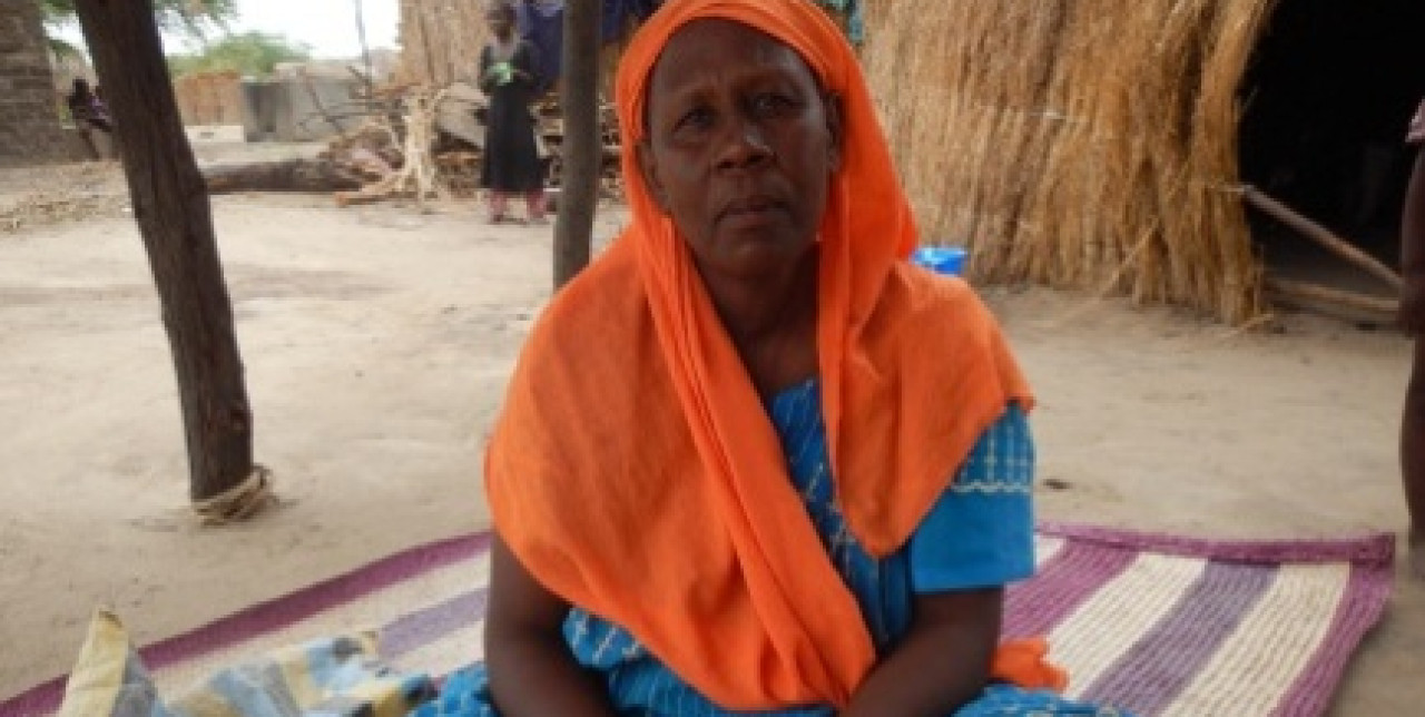 Tchad : la transformation agro-alimentaire double la rente économique