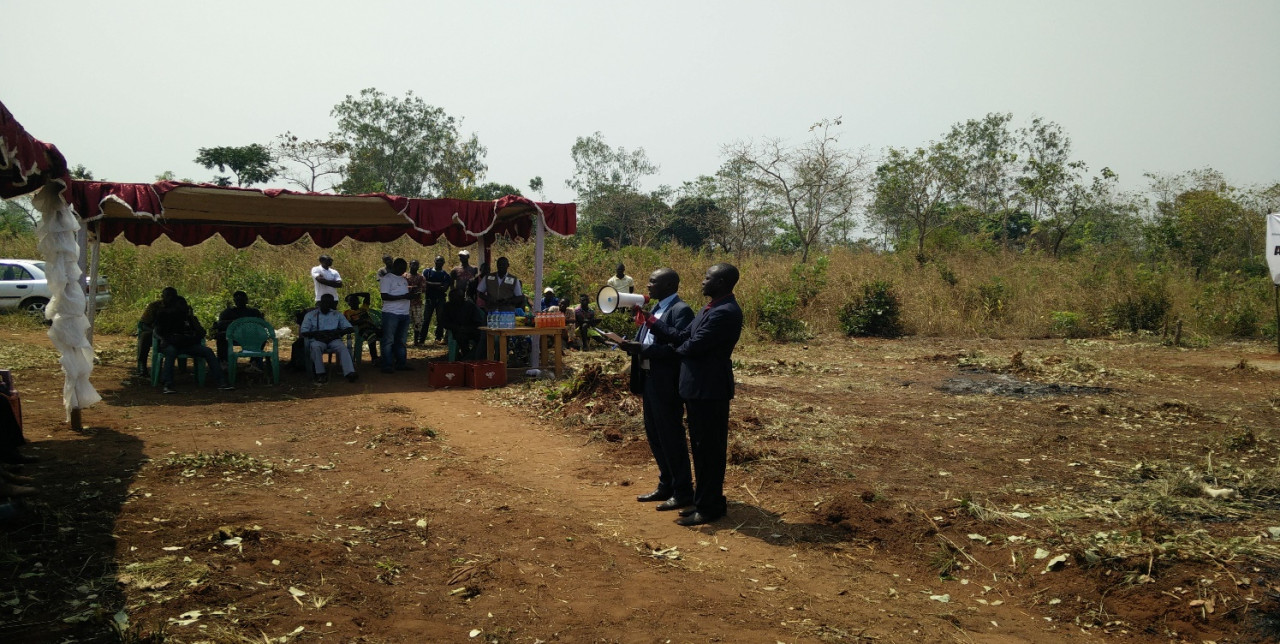 CAR: breeding of fry, pigs and chicks