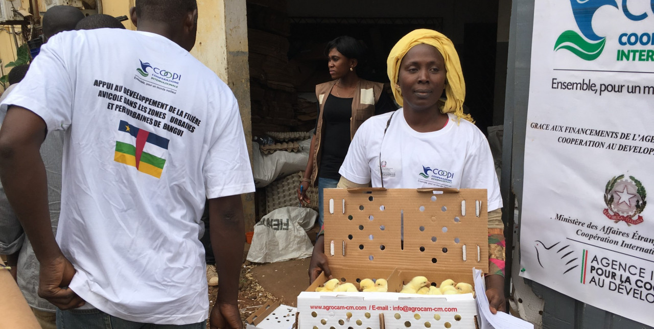 CAR: poultry kits and chicks distributed to 130 breeders