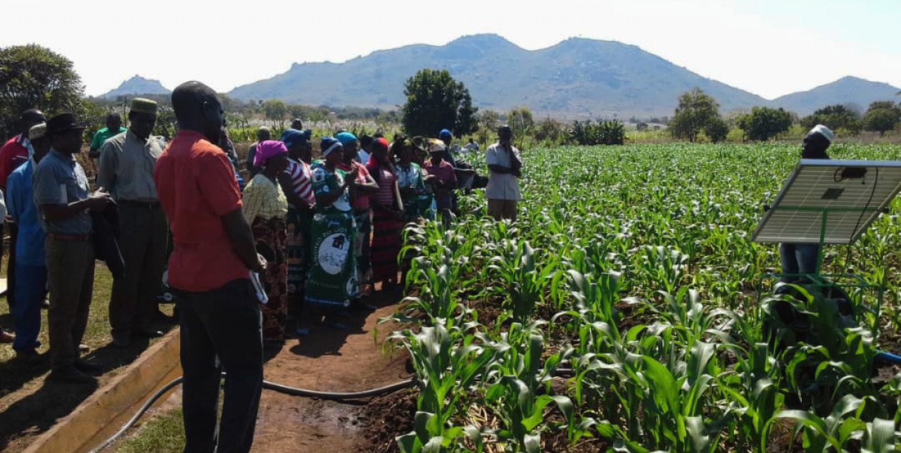 Malawi: irrigated agriculture ensures food security in Katuli