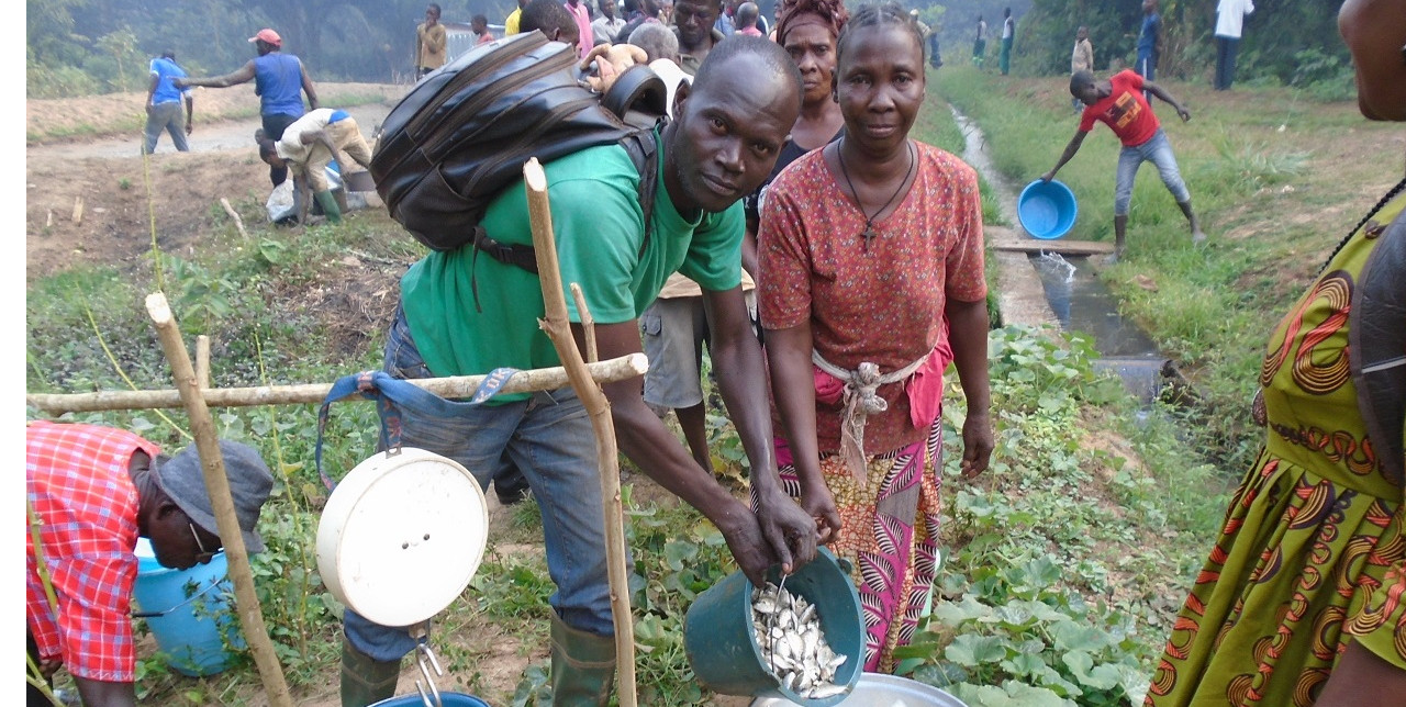 Centrafrique : l'importance des animateurs pour le relance de l'élevage