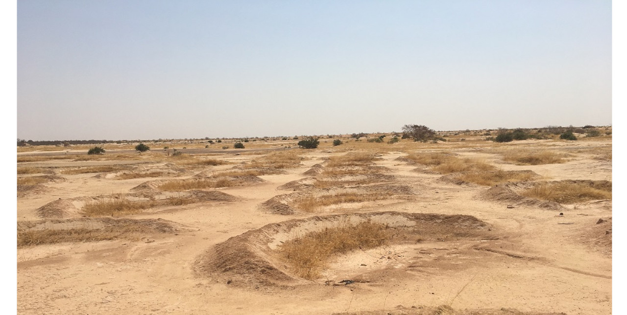 Niger: half-moon basins to stop drought