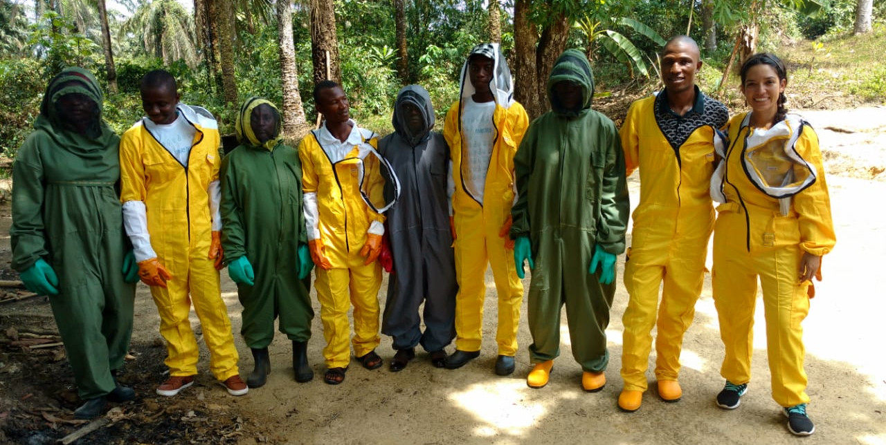 Sierra Leone: cashew growers are mastering beekeeping