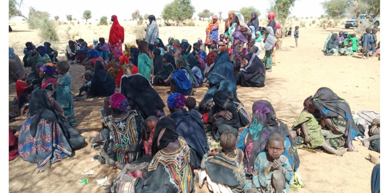 Niger, Tillabery: mobile clinics to treat malnutrition in the IDPs camps