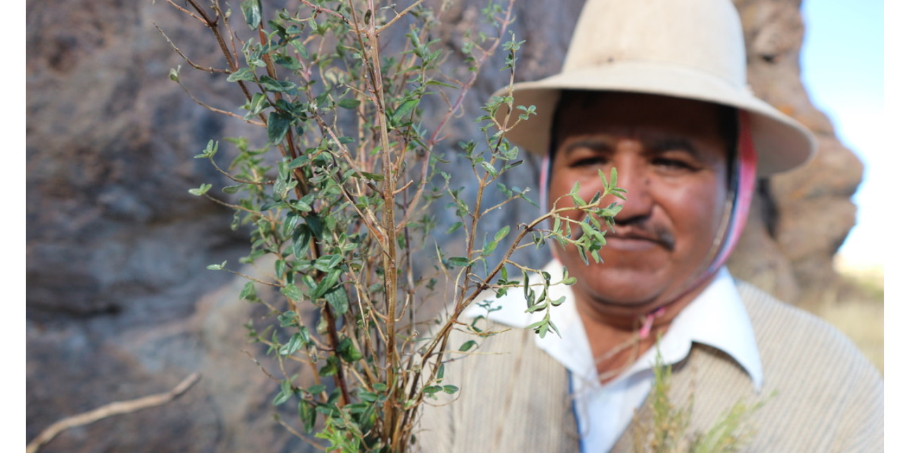 Curanderos, naturistas, parteros. Come si curano gli Uru-Chipaya
