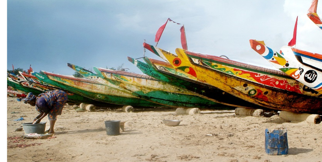 Sénégal : Vivre et réussir chez moi. Pour une migration durable