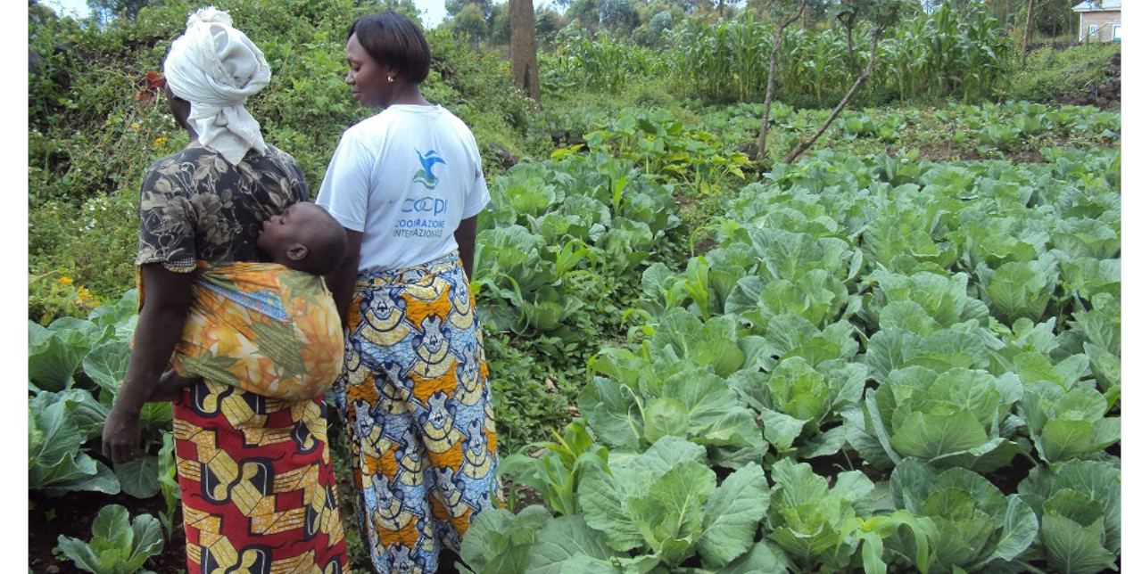 RDC, Kamiji : sécurité alimentaire et protection pour 87 000 personnes