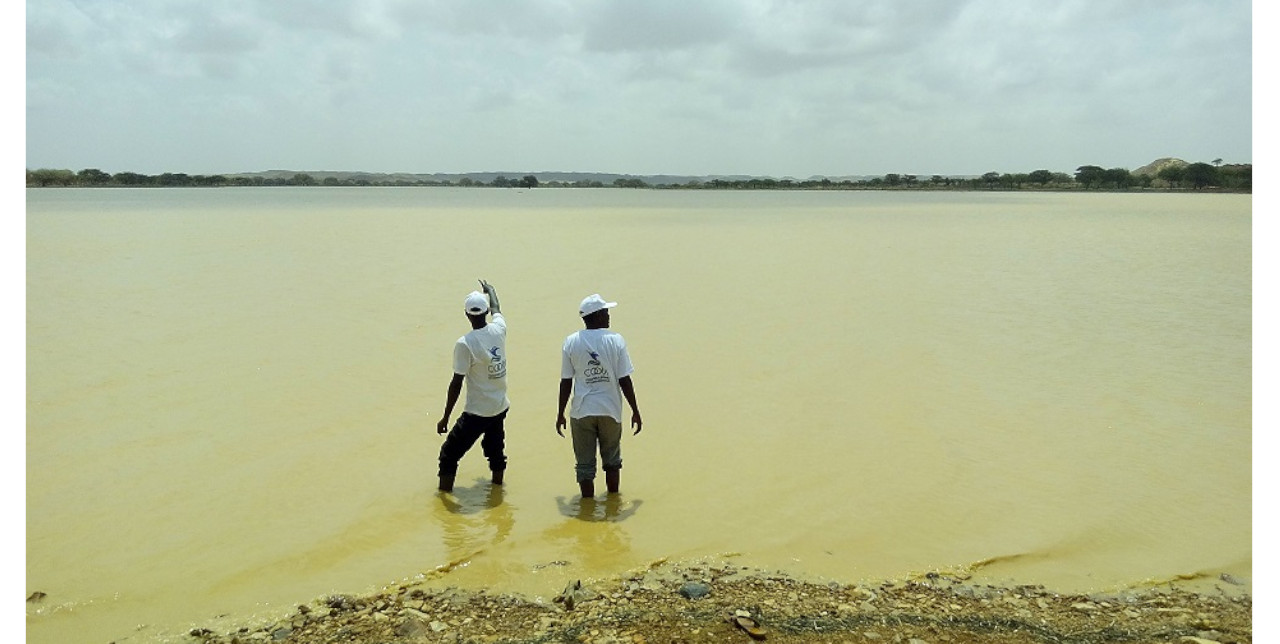 North Darfur: new dams to counter the effects of El Niño