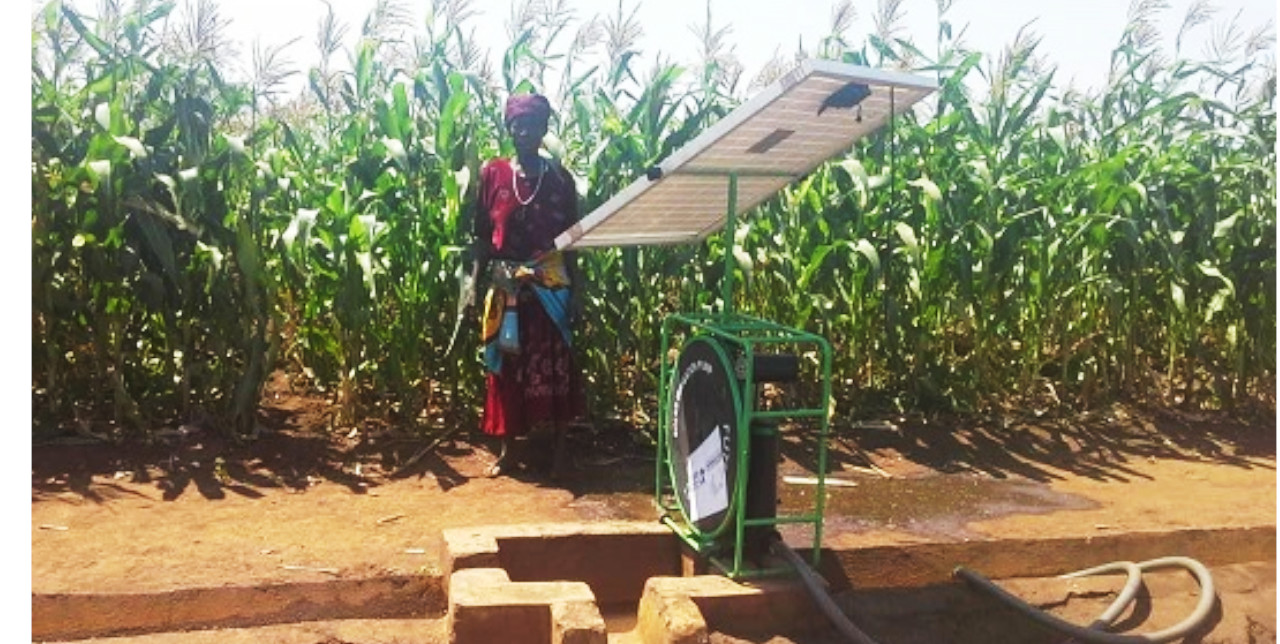 Malawi, irrigated agriculture. "We have three harvests a year thanks to COOPI"