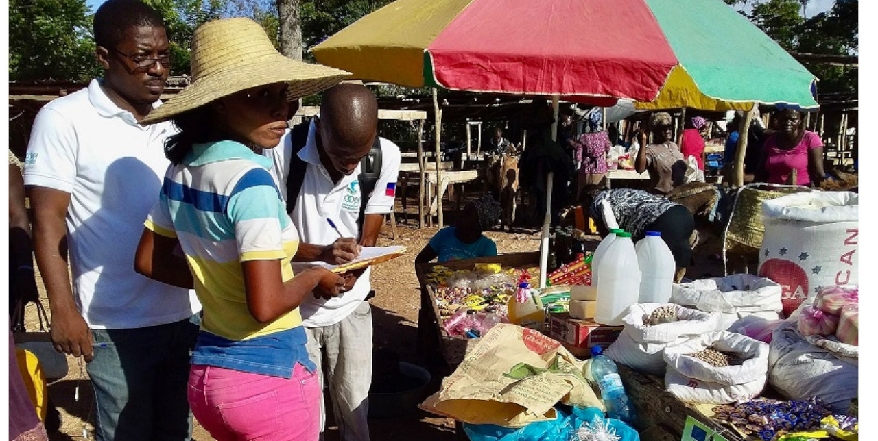 Haiti: Cash and food vouchers distribution in areas affected by drought