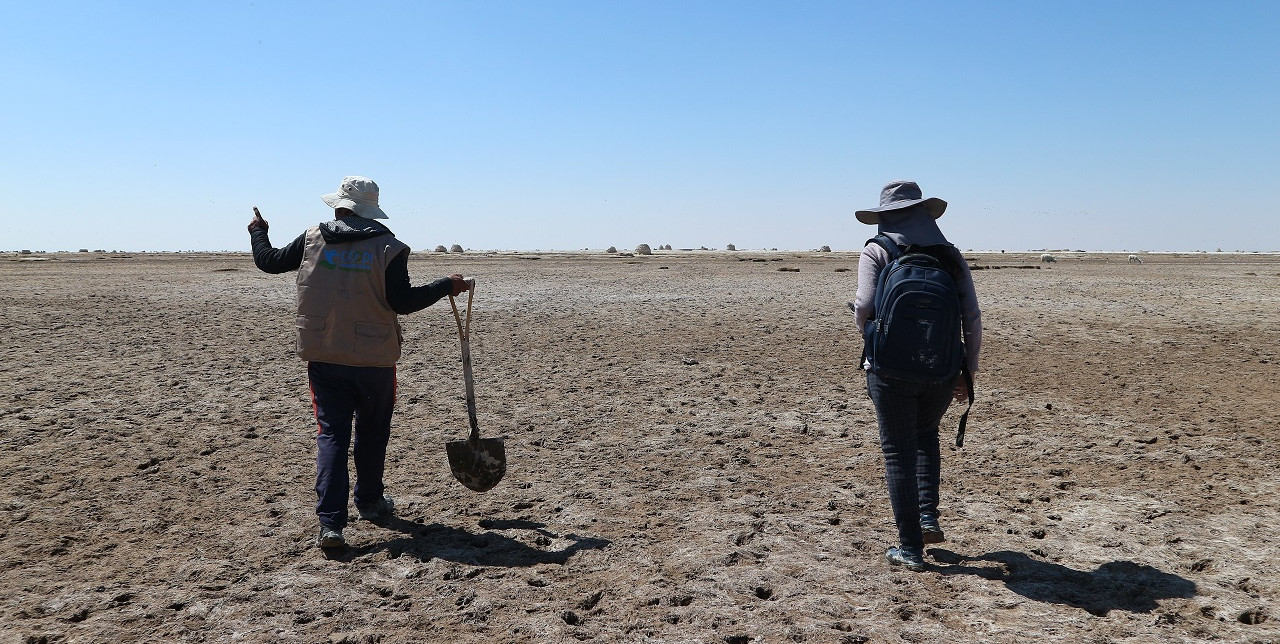Lameo: tecnica millenaria di coltivazione della quinoa