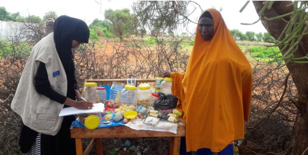 Mobile money to strengthen purchasing power in Somalia