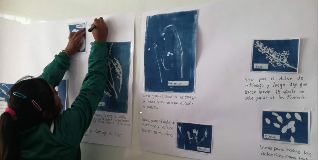 Bolivia: Laboratori sulle piante medicinali per i giovani Uru-Chipaya