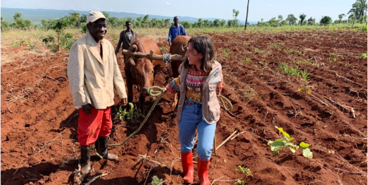 RDC. Cattle traction and fish farming: two success pilot activities