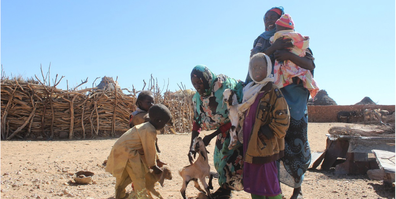 North Darfur. Goats' distribution to Women Head House Holdput end to communities' suffering