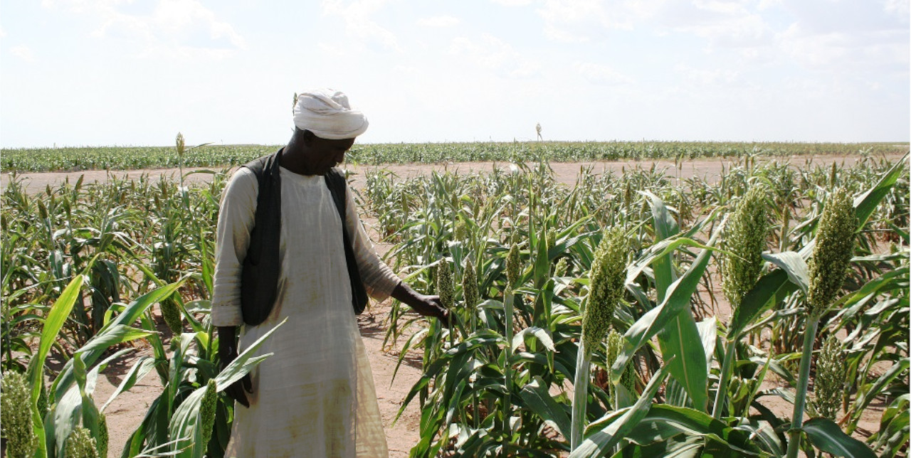 Sudan. "Now I can guarantee food security for my family"