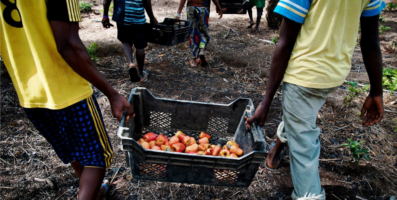 Sierra Leone. Nuovi posti di lavoro nelle comunità rurali