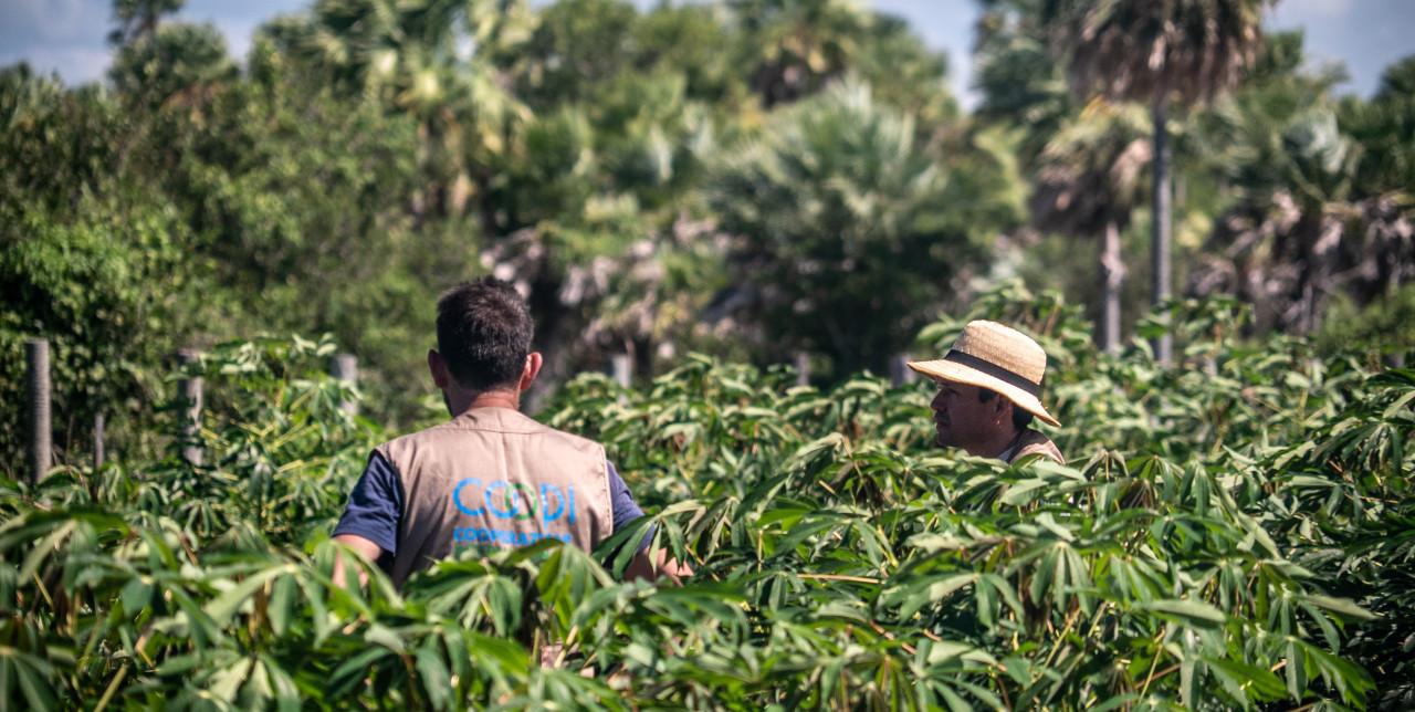 Paraguay. COOPI among the promoters of the digital event Plan V - A green world