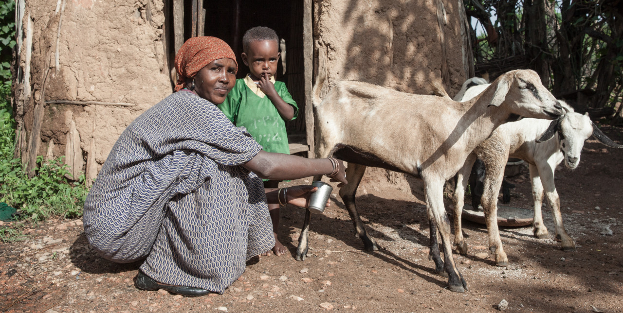 Open letter against hunger, starvation and famine
