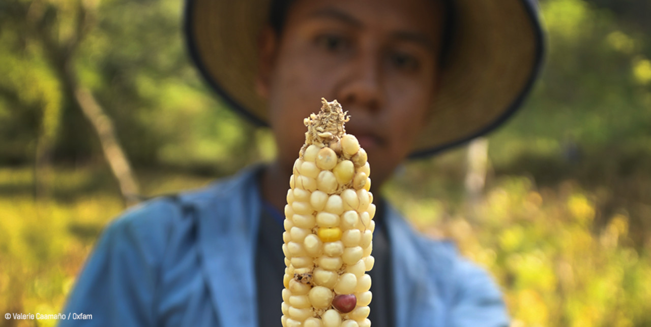 Centroamérica. Sequías y Covid-19 empeoran la crisis alimentaria