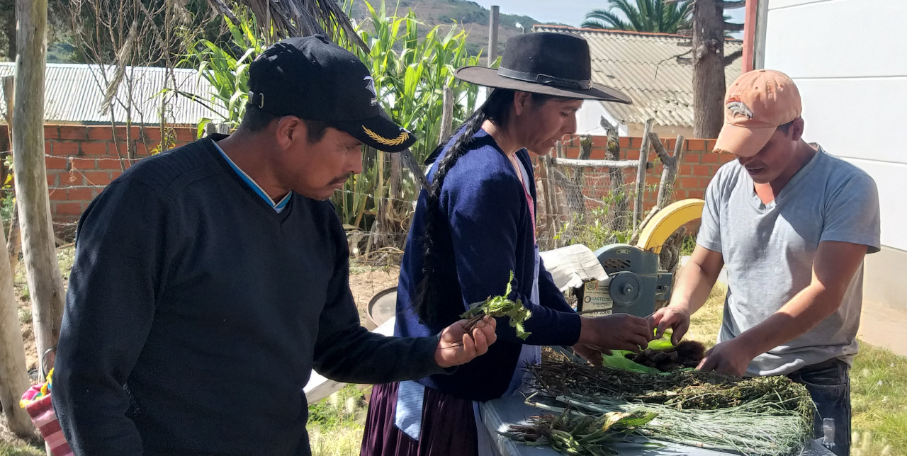 Bolivia. Strengthening the integration of traditional and modern medicine