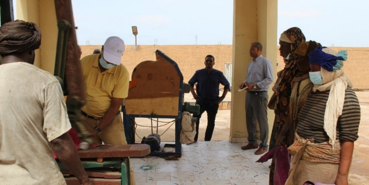 Mauritanie. L'UE visite le centre de tannage de peaux d'El Mina  
