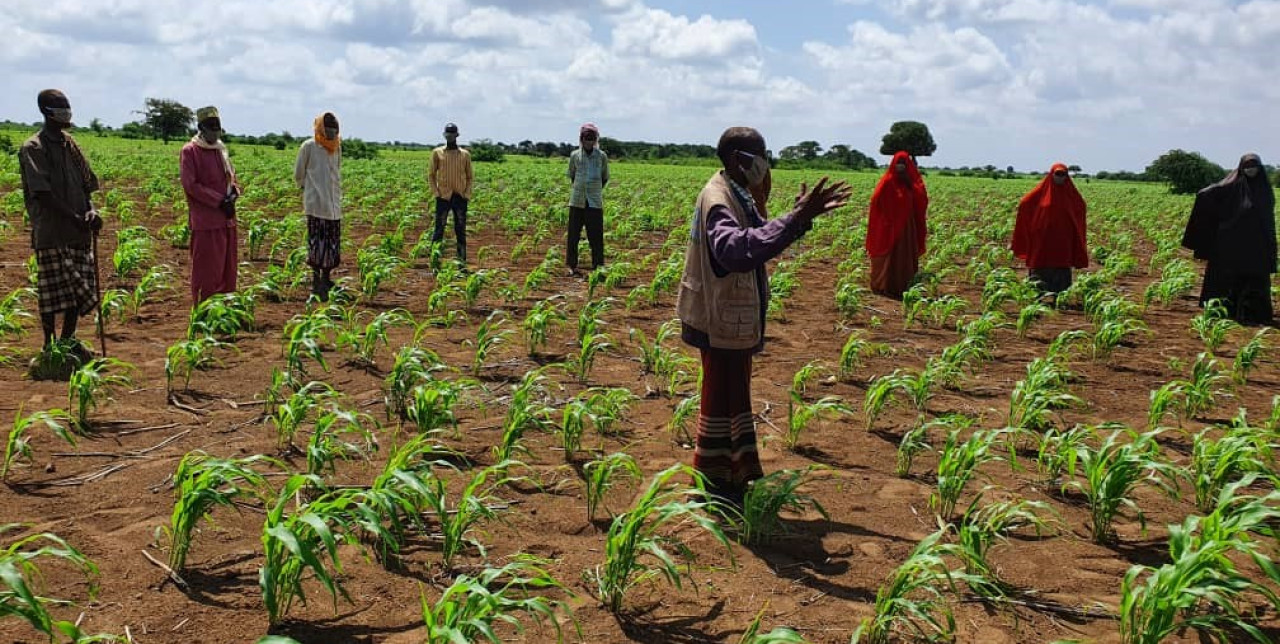 Somalia. Community-credit and resource management to increase climate resilience