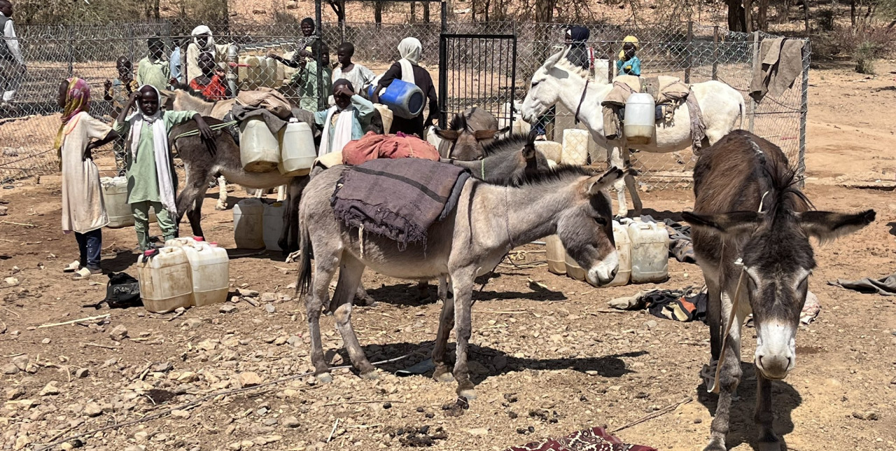 Conflict and Hunger in Sudan: an NGO call to action