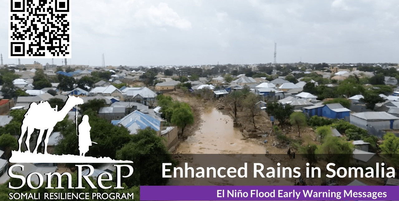 Somalia. Il consorzio di ONG SomReP affronta l'impatto di precipitazioni senza precedenti