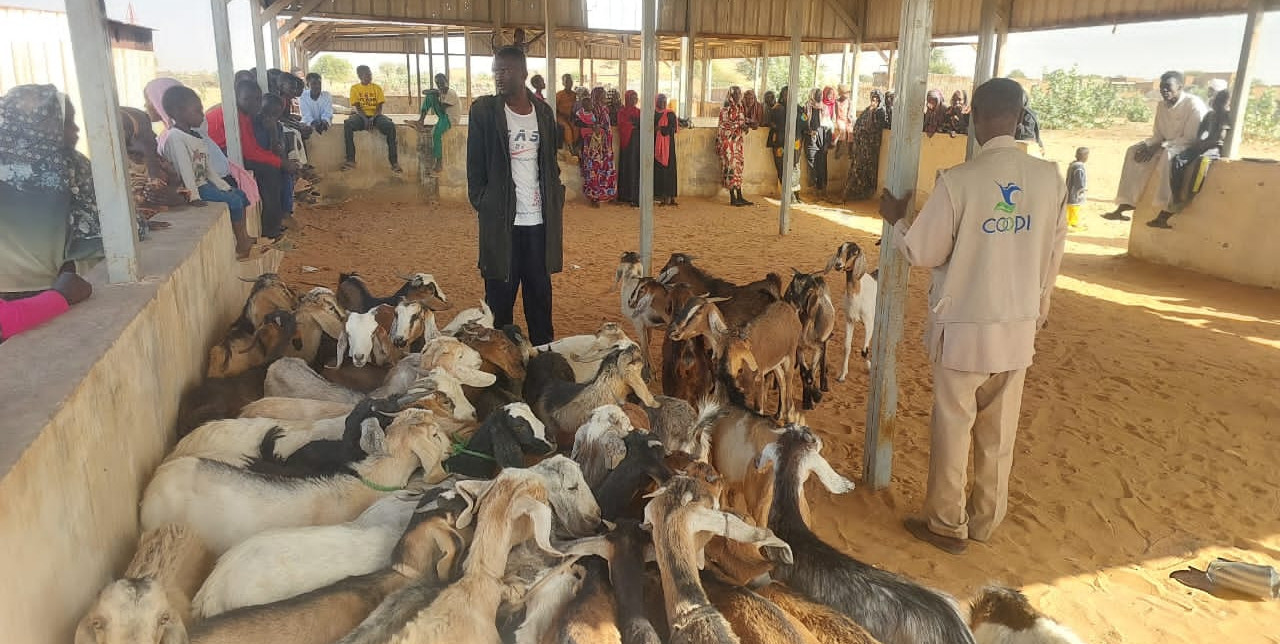 Sudan. L'iniziativa che nutre e risolleva le famiglie nel Nord Darfur