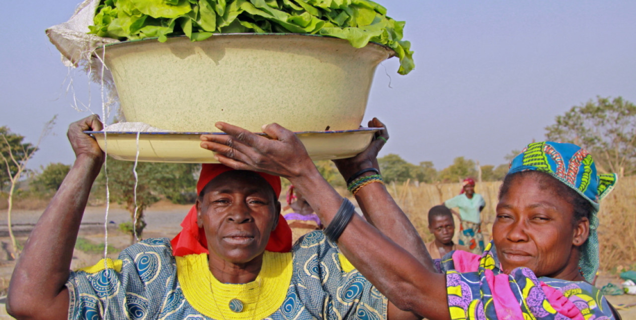 Agricoltura e allevamento per estirpare la povertà in Ciad