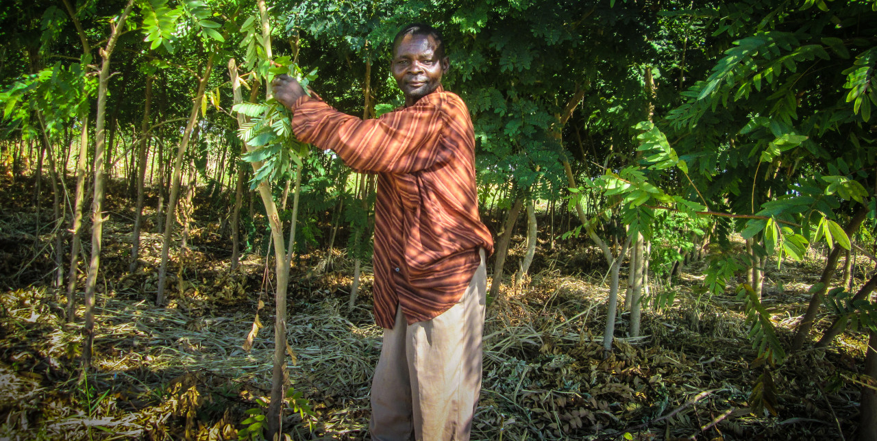 Il mio lavoro è proteggere l'ambiente