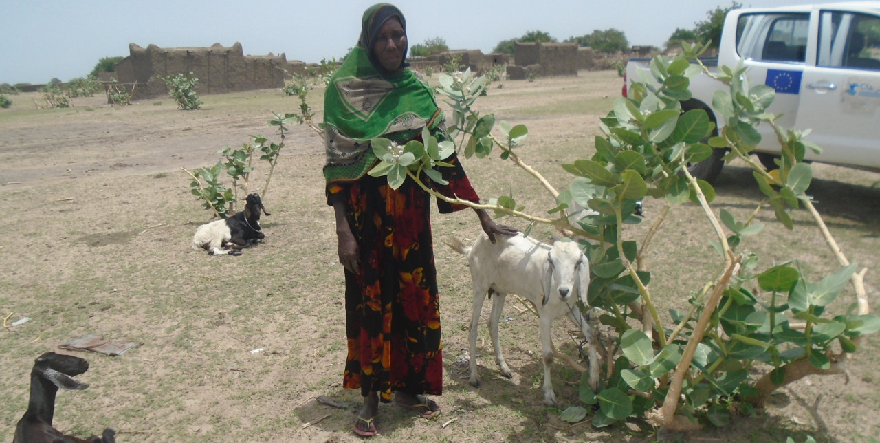 Un nuovo inizio per Khadidja, contro l'insicurezza alimentare