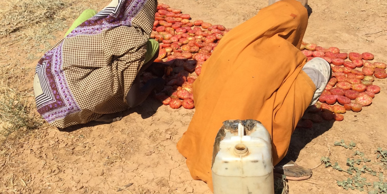 Piccola diga, grande impatto