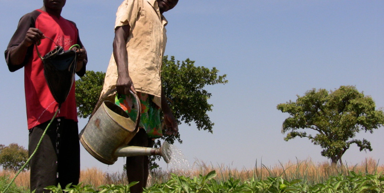 Tools to defeat malnutrition