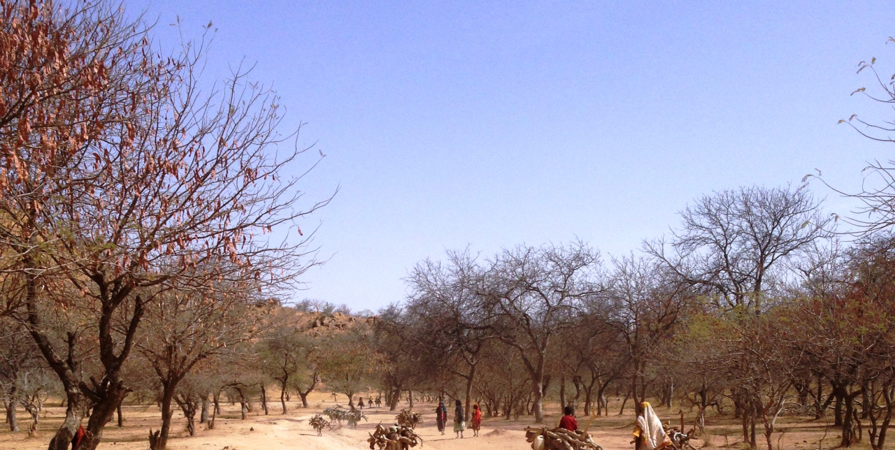 Ciad: le radici della malnutrizione
