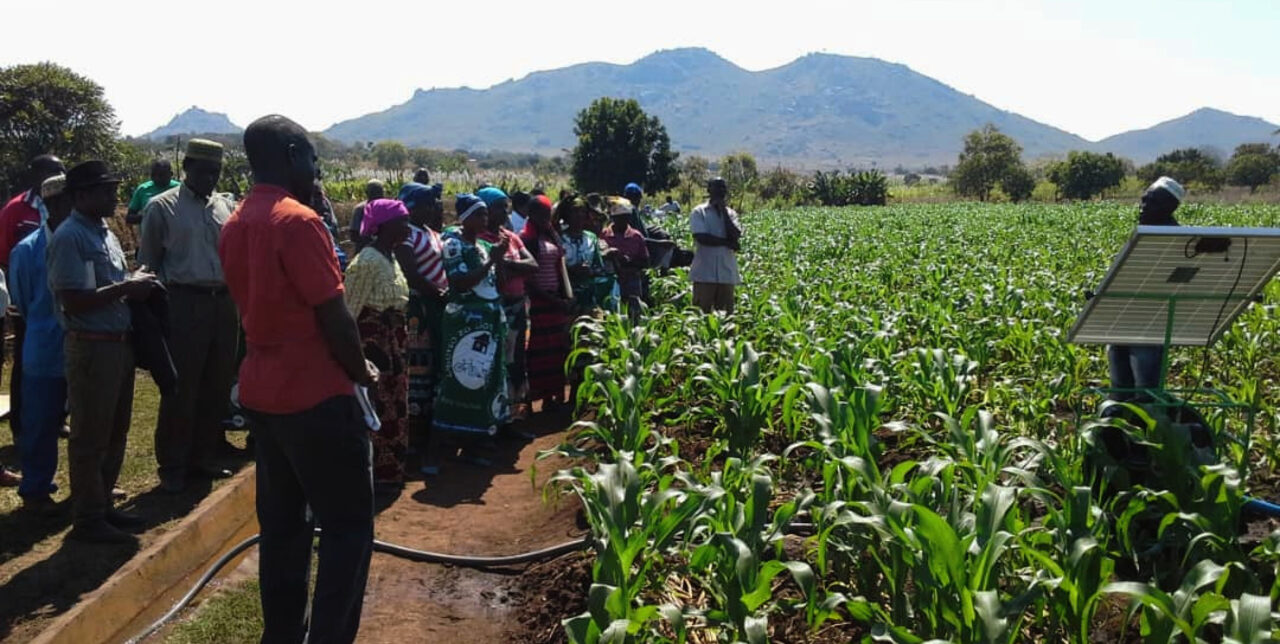 Malawi: irrigated agriculture ensures food security in Katuli