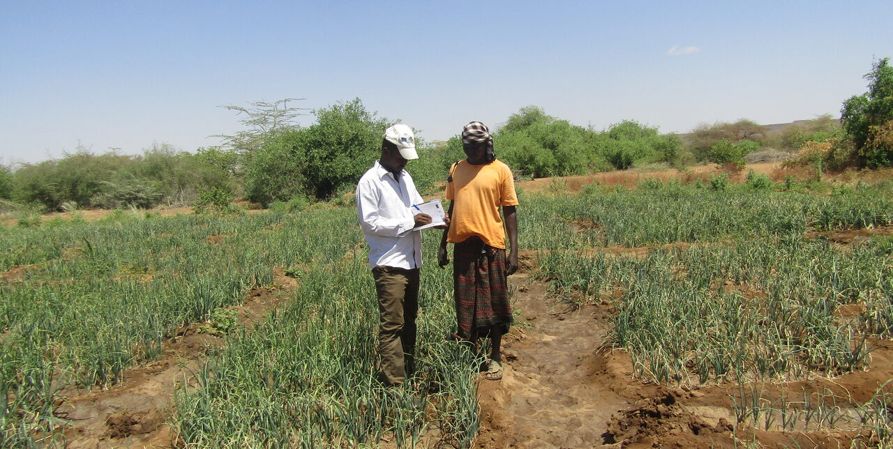 Somalia:  a brighter future for Mohamud