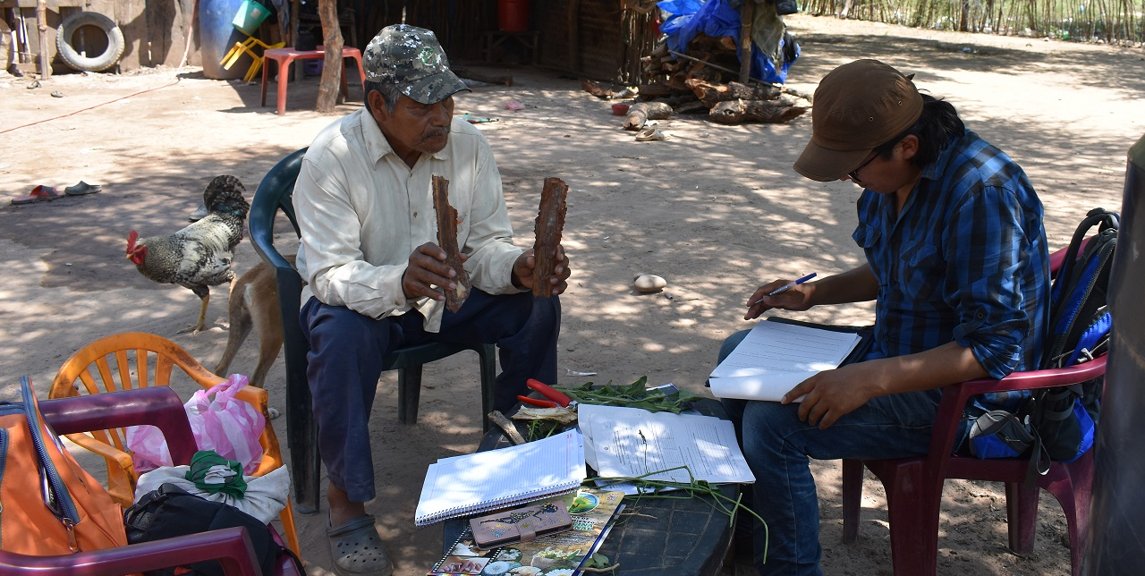 Gran Chaco: the first botanical encyclopaedia on indigenous medicine