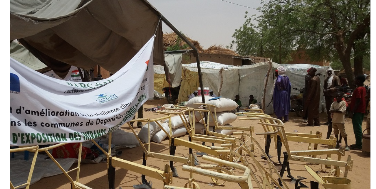 Niger: improved seeds to adapt to climate change
