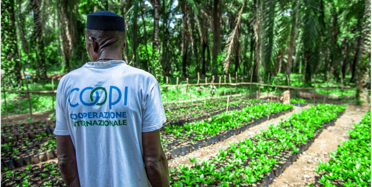 Sierra Leone. Face2Hearts vloggers visit our Cashew project