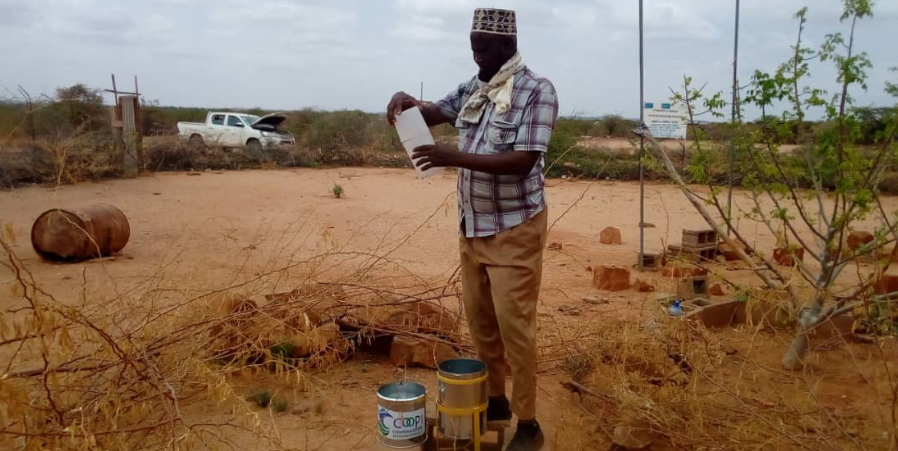 Ethiopia. With the European Union, Mohammed became an entrepreneur