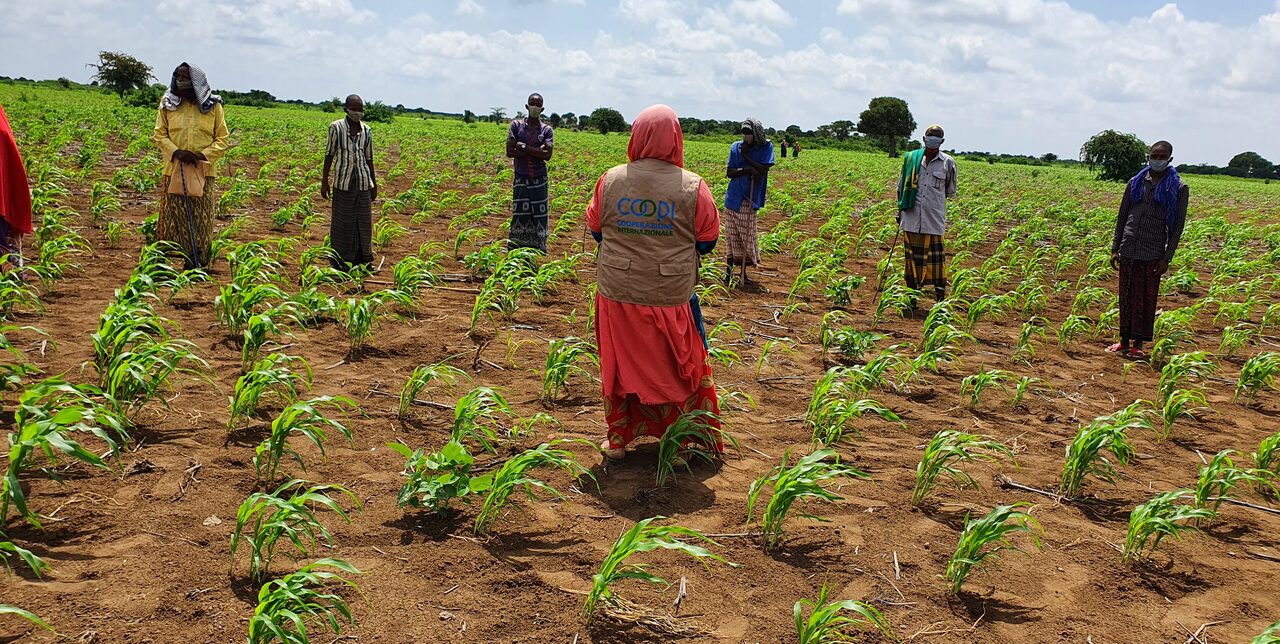 In Somalia, the "Crisis Modifier" works