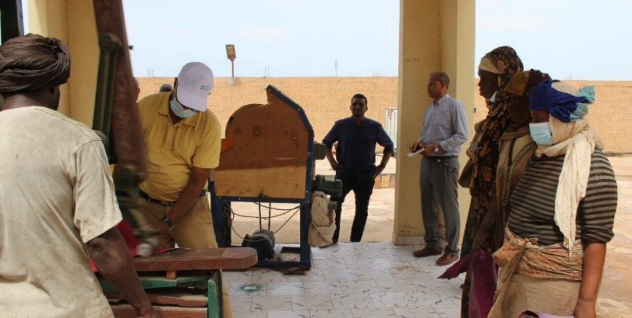 Mauritania. L'UE visita il centro di colorazione delle pelli di El Mina