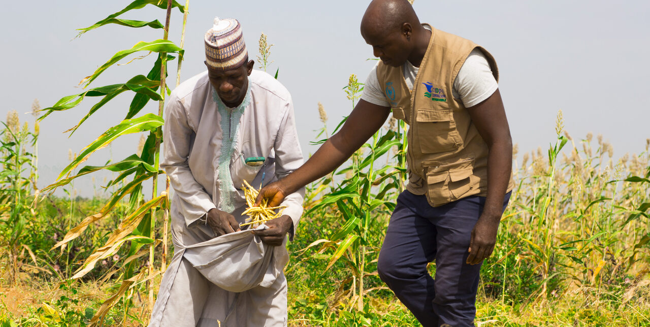 Nigeria. Fleeing terrorists, but saved from hunger and despair